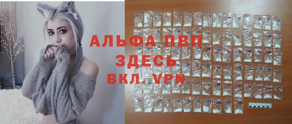 индика Ростов