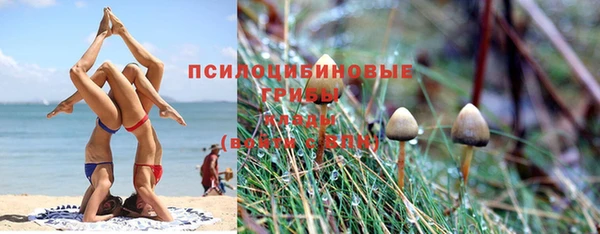 трава Абаза