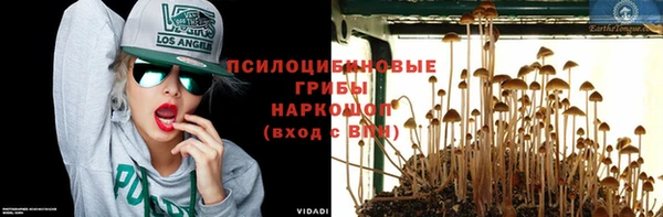 трава Абаза