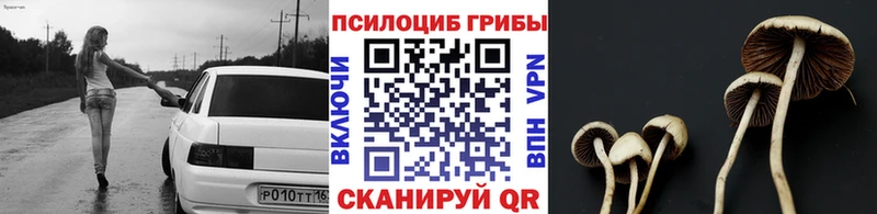 Псилоцибиновые грибы MAGIC MUSHROOMS Западная Двина